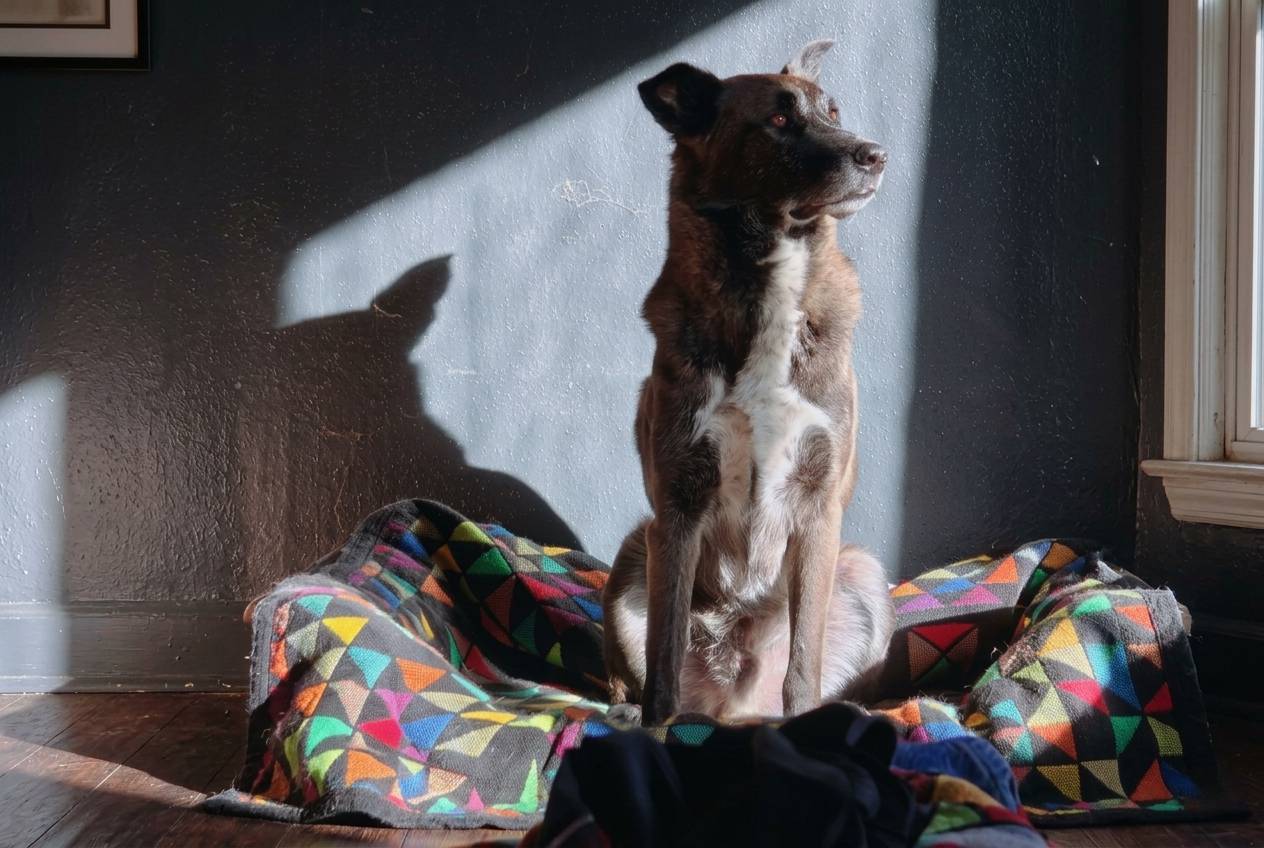 Marley