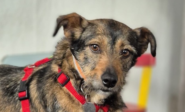 Pina Pflegestelle 38835 Osterwieck